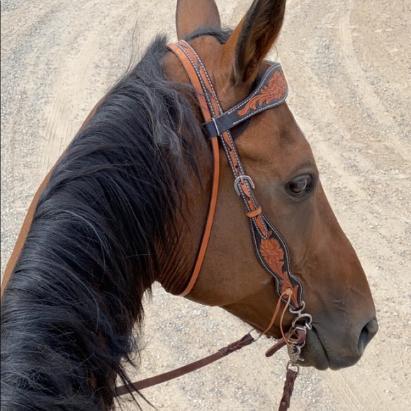 Meet your Posher, Jorden - Picture 6 of 7